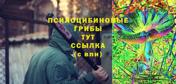 ешки Алексеевка