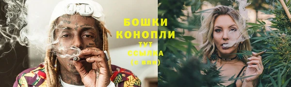 шишки Арсеньев