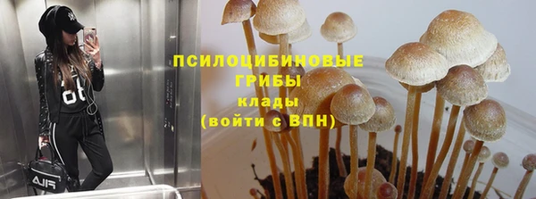 мет Алзамай