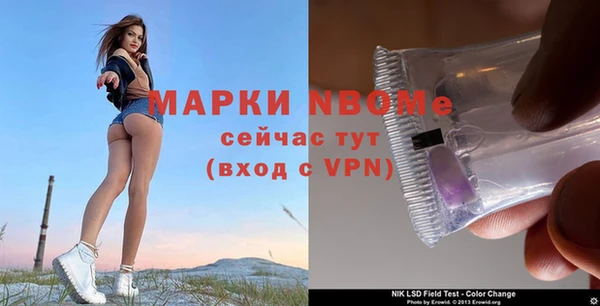 шишки Арсеньев