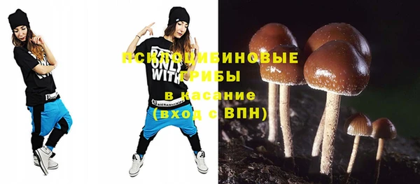 шишки Арсеньев