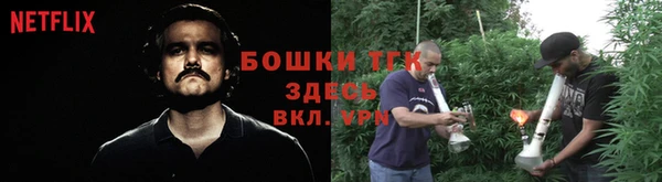 шишки Арсеньев