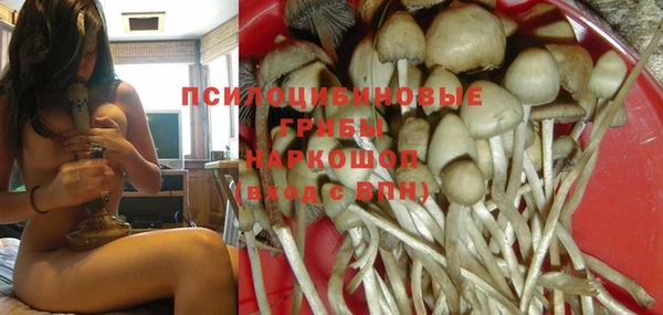 ешки Алексеевка