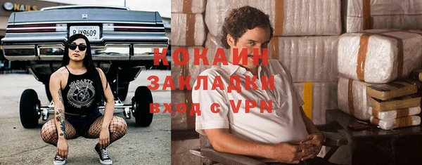 шишки Арсеньев