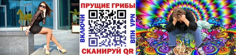 наркота Волхов Галлюциногенные грибы Psilocybe